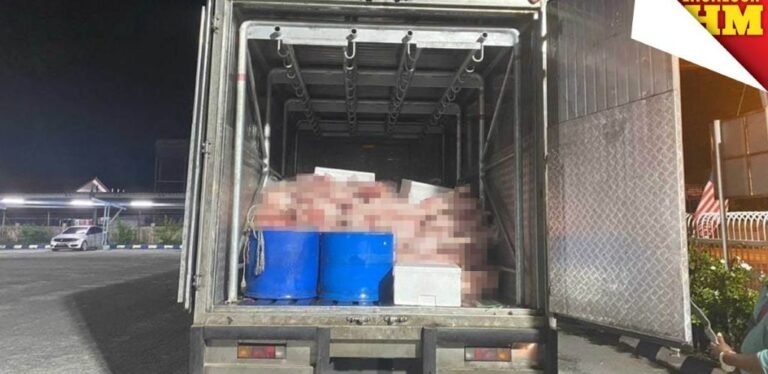 拿督斯里涉嫌走私生猪肉引发公众关注