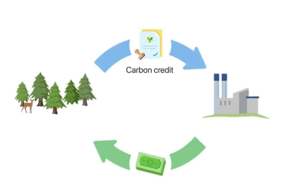 Carbon credit 怎么卖