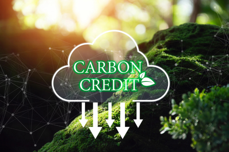 不要被专业术语吓到，三分钟带你弄懂什么是 carbon credit