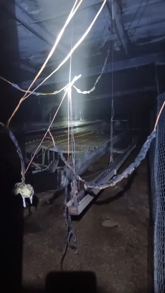 柔府园丘路养鸡场深夜失火