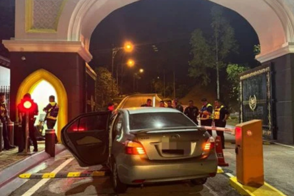 醉驾撞皇宫大门