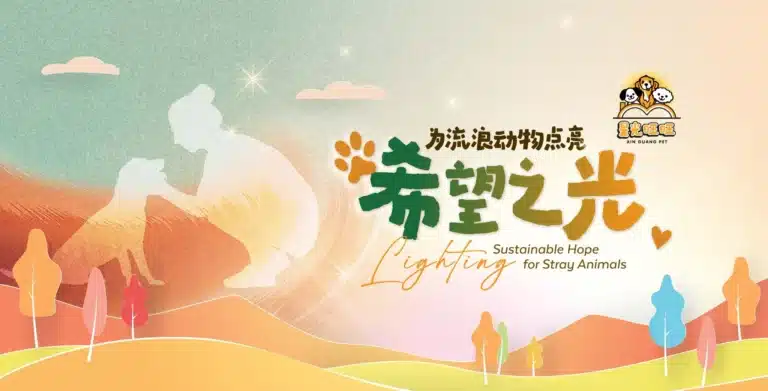 星光旺旺之家：在马来西亚街角看见流浪狗的另一面