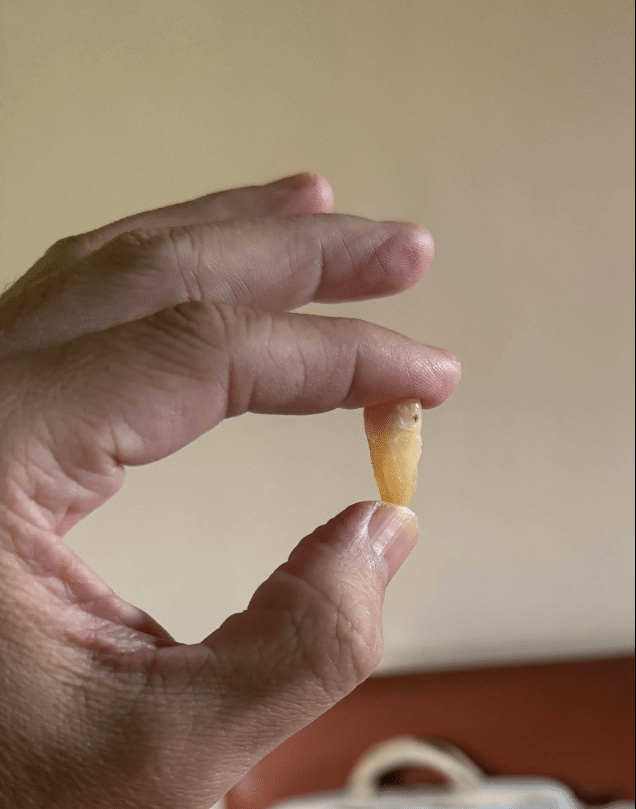 新加坡儿童牙科