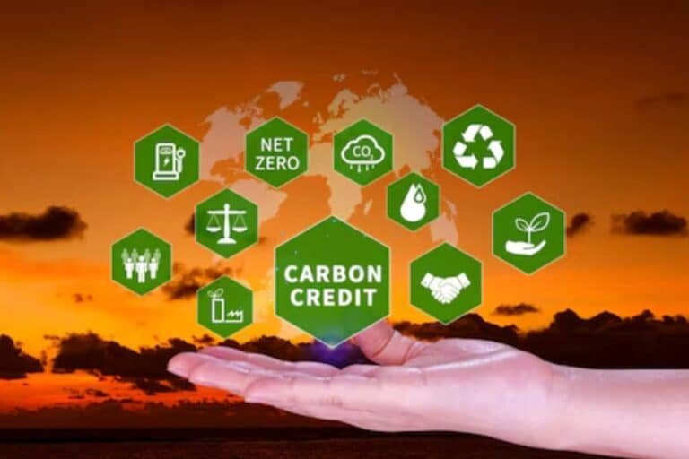 别等到被Supply Chain淘汰才来问